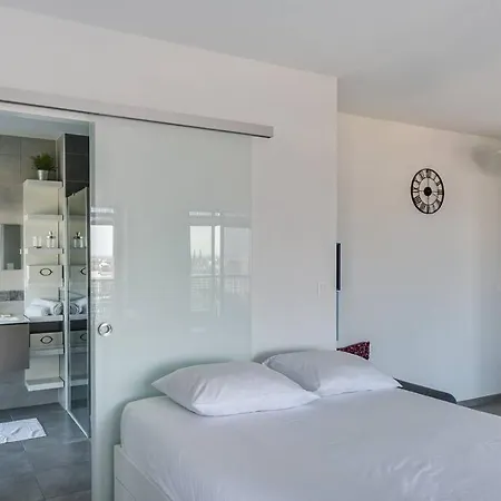 Bassin D'austerlitz - Avec Terrasse Dans L'une Des Tours Black Swans Strasburg