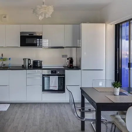 Bassin D'austerlitz - Avec Terrasse Dans L'une Des Tours Black Swans Strasburg