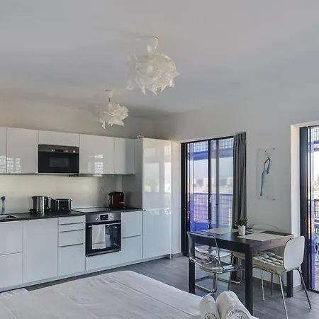 Bassin D'austerlitz - Avec Terrasse Dans L'une Des Tours Black Swans *