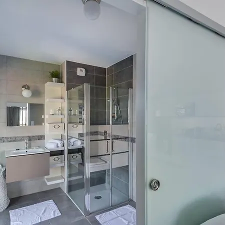 Bassin D'austerlitz - Avec Terrasse Dans L'une Des Tours Black Swans Στρασβούργο