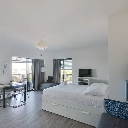 Bassin D'austerlitz - Avec Terrasse Dans L'une Des Tours Black Swans *