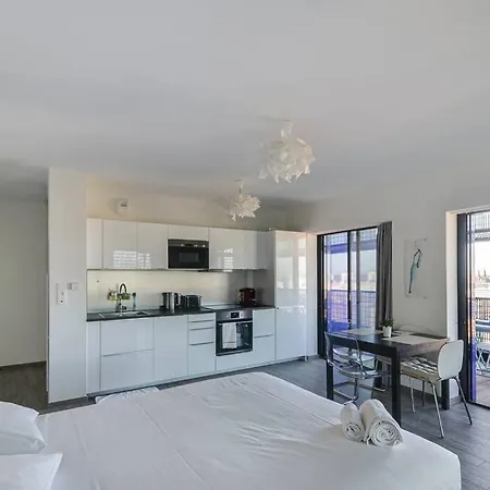 Bassin D'austerlitz - Avec Terrasse Dans L'une Des Tours Black Swans *